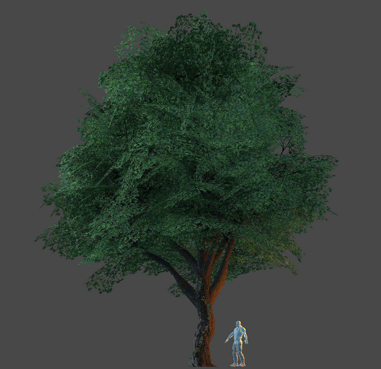 Unity trees. Деревья для Юнити 3д. Модель дерева. Модель дерева для Юнити. Дерево 3д модель.