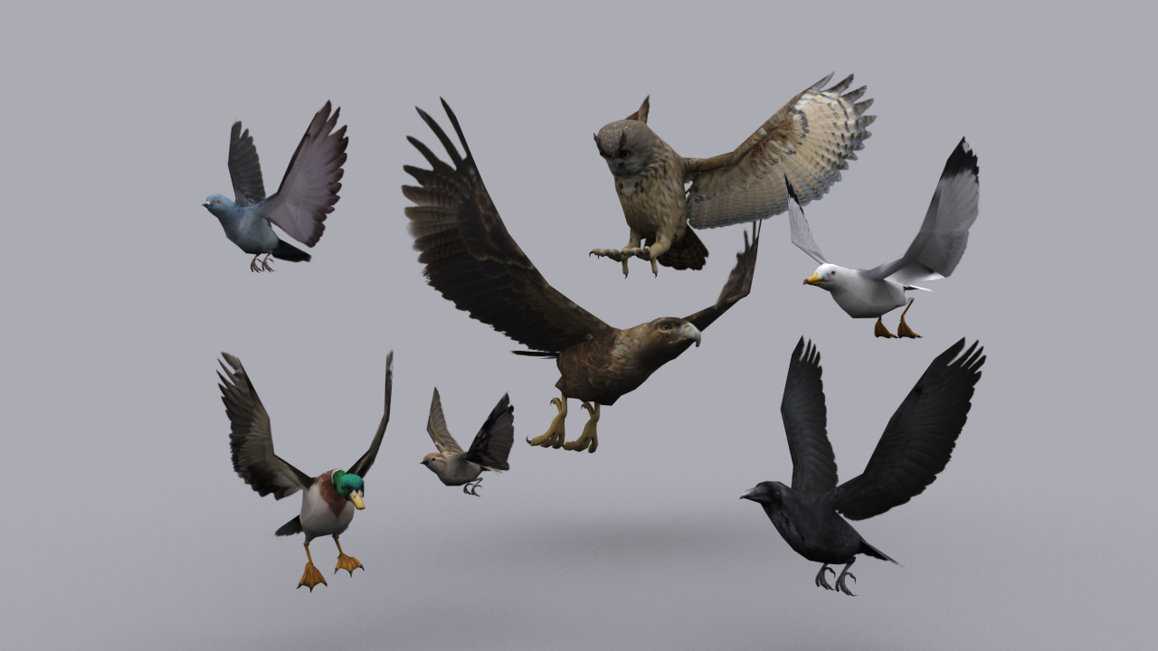 Birds unity. Птица 3д. Birds Pack Goose.